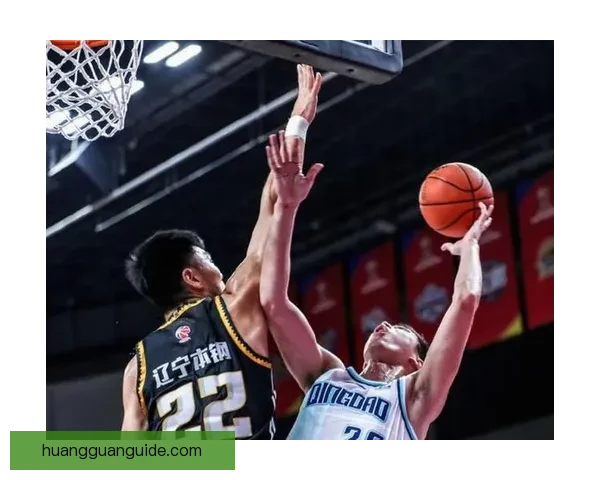 辽宁新援莱迪自述全面能力全力拼搏只为球队胜利